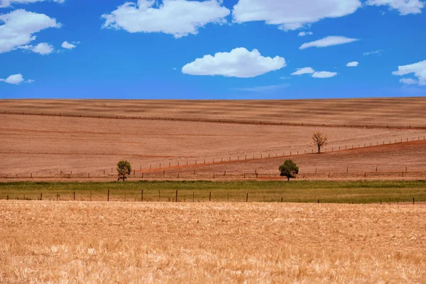 Campo arato agricolo. Paesaggio rurale — Foto Stock