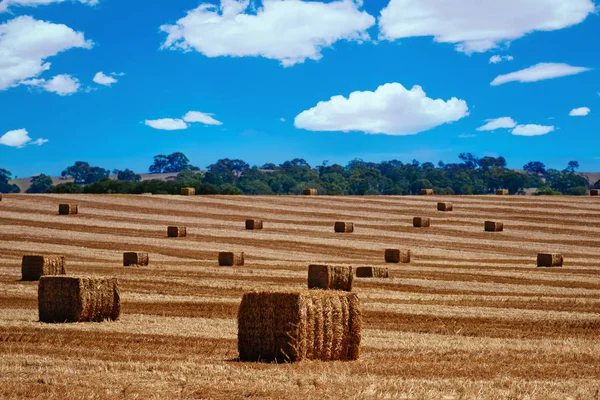 Agricultural plowed field. Rural landscape — Stock Photo, Image