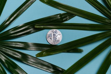 Gümüş bitcoin para avuç içi arasında mavi arka plan üzerinde bırakır