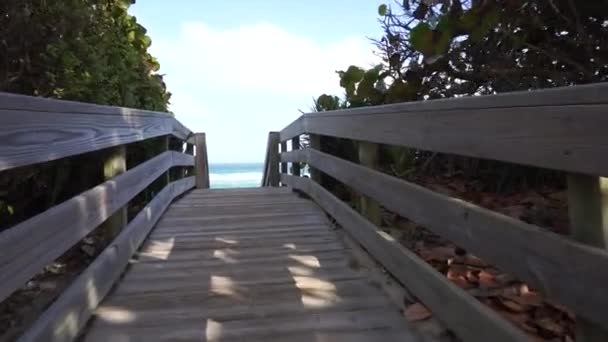 Wooden Path Sand Dunes Beautiful Ocean View — Stock Video