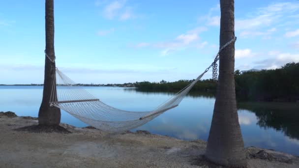 Romántica Hamaca Acogedora Bajo Palma Mano Playa Tropical Junto Mar — Vídeos de Stock