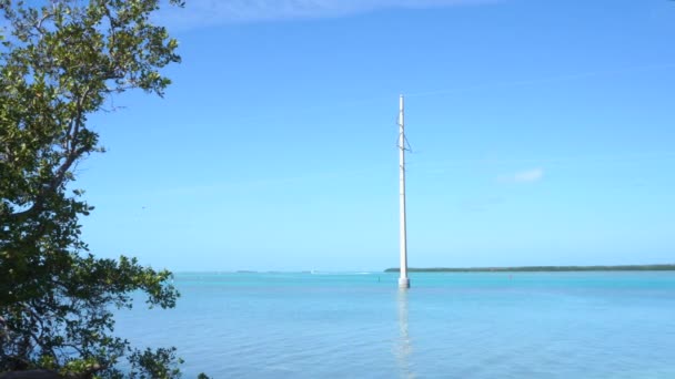 Power Lines Water Scenic Overseas Highway Florida Key Route Usa — Stock Video