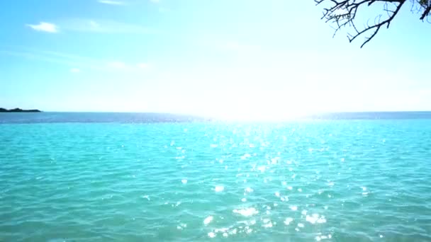 Landskap Utsikt Över Havet Stranden Med Blå Himmel Och Grön — Stockvideo