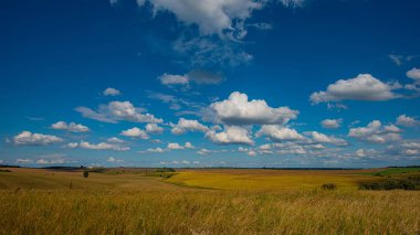 Kırsal alan bulutlu mavi gökyüzü ve güneşli bir günde çayır., 