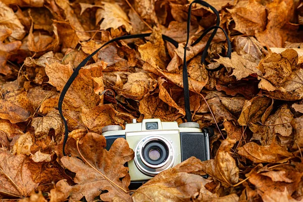 森林里秋天的落叶和一台躺着的旧胶卷照相机. — 图库照片