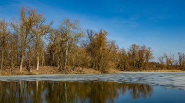 Güneşli bir günde, buzu eritmek ve arka planda sazlıklar ve ormanlar olan bir nehir. Kırsal kesimde. Mart ayının başında. Web pankartı.