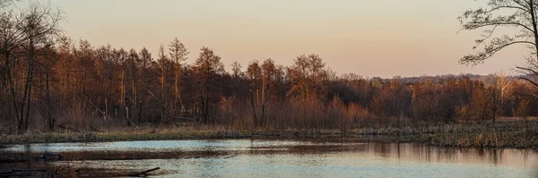 Laubwald Und Seen Bei Sonnenuntergang Frühlingszeit März Web Banner — Stockfoto