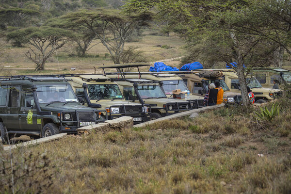  Jeep safari at Serengeti National Park. Jeep off road cars in African Savannah, Tanzania