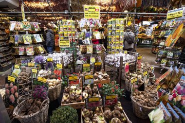 Amsterdam, Hollanda - Aralık 2019: Amsterdam şehir merkezinde geleneksel çiçek pazarı