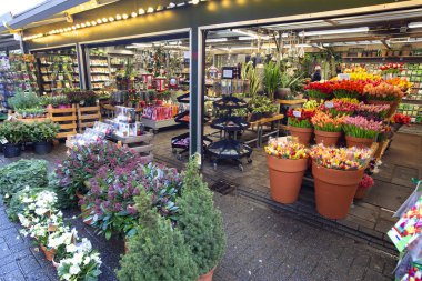 Amsterdam, Hollanda - Aralık 2019: Amsterdam şehir merkezinde geleneksel çiçek pazarı