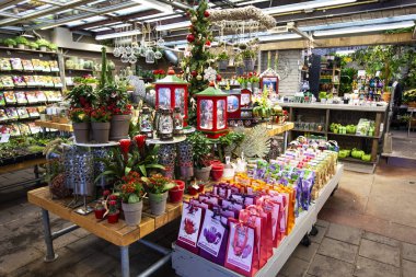 Amsterdam, Hollanda - Aralık 2019: Amsterdam şehir merkezinde geleneksel çiçek pazarı