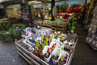 Amsterdam, Hollanda - Aralık 2019: Amsterdam şehir merkezinde geleneksel çiçek pazarı