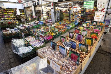 Amsterdam, Hollanda - Aralık 2019: Amsterdam şehir merkezinde geleneksel çiçek pazarı