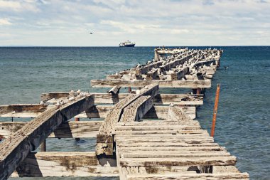 Punta Arenas Deniz Manzarası, karabatak ve martılar ile ahşap iskele, Macellan Boğazı, Patagonya, Şili