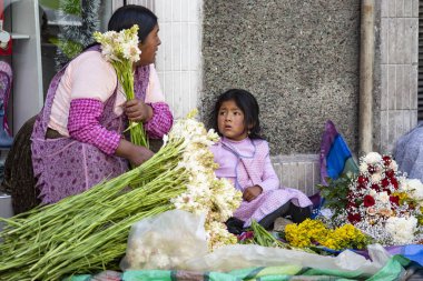 LA PAZ, BOLIVIA - Ocak 2020: La Paz, Bolivya caddesindeki açık hava çiçekçisi. Kızı olan Bolivyalı kadın La Paz, Bolivya 'da çiçek satıyor.