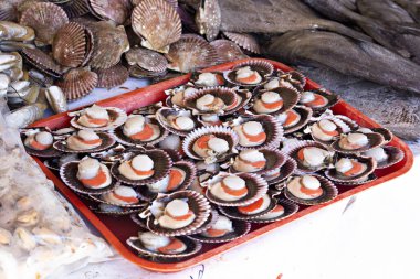 VALPARAISO, Şili: Ocak 2019: Valparaiso, Şili 'deki balık pazarında deniz ürünleri