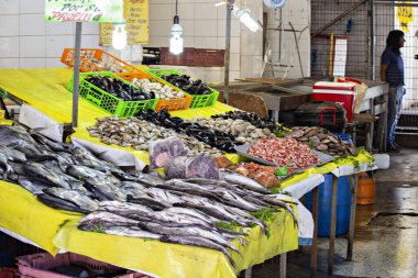VALPARAISO, Şili: Ocak 2019: Valparaiso, Şili 'deki balık pazarında deniz ürünleri