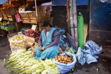 LA PAZ, BOLIVIA - January 2020: Bolivian woman wearing traditional dress (Cholitas) on the market in La Paz city, Bolivia. People of Bolivia. Traditional market in Bolivia.