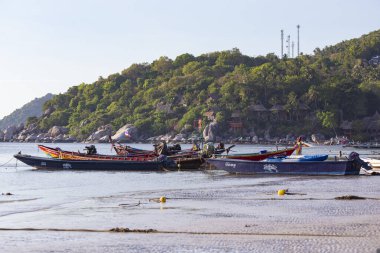 KOH TAO, THAILAND - Mart 2019: Koh Tao adasında tekneleri olan tropik cennet kumlu plaj, Koh Samui, Tayland. Tayland 'da plaj tatili. Güneşli bir günde tropik Tayland plajı. Koh Tao 'daki Sairee plajı.