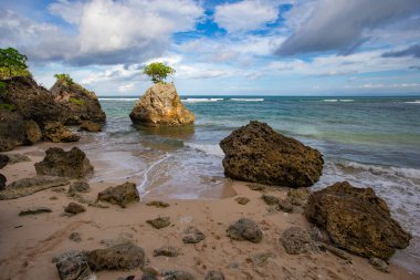 Sahilde ağaçlı dev taşların olduğu doğa sahnesi