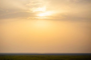 Savana üzerinde yumuşak gün doğumu, doğal manzara