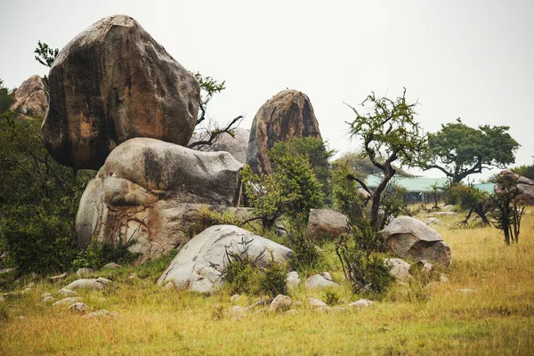 Pedras Antigas Gigantes Campo Verde — Fotografia de Stock