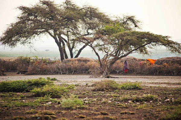 Masai Ngorongoro Krater Små Masaihyddor Afrikansk Savanna Tanzania — Stockfoto