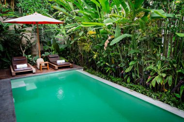 BALI, İNDONEZYA - Mart 2020: Bali villasında yüzme havuzu. Yüzme havuzlu Bali geleneksel evi, Ubud, Endonezya
