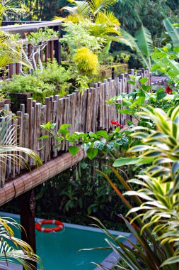 BALI, İNDONEZYA - Mart 2020: Bali villasında yüzme havuzu. Yüzme havuzlu Bali geleneksel evi, Ubud, Endonezya