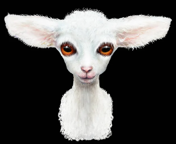 Young lamb animal — Stock Photo, Image