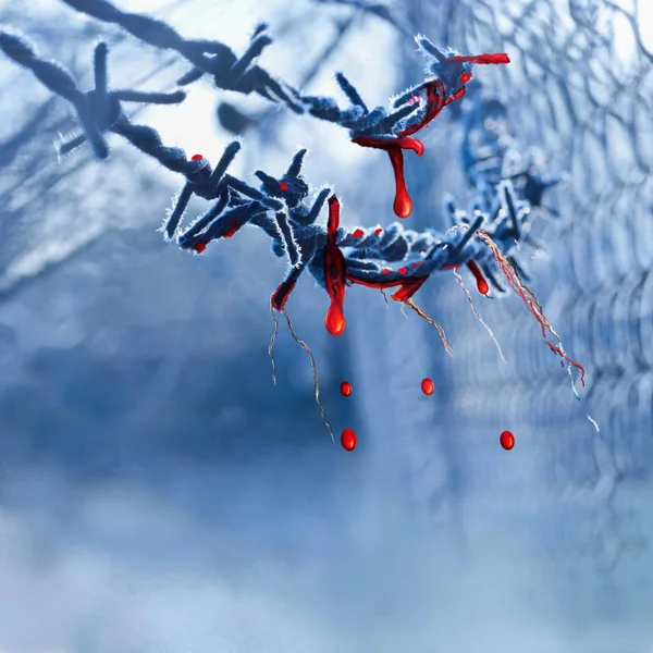 dikenli tel üzerinde kan damlaları