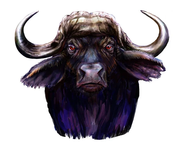 Afrikansk Buffel Afrikansk Buffel Digital Målning — Stockfoto