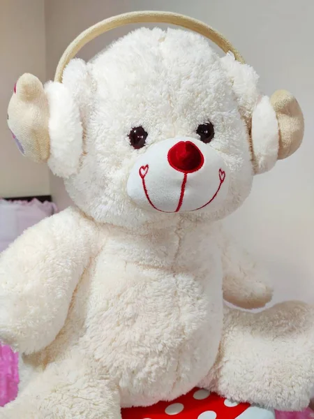 Tedy Bear White Teddy Bear Portrait — Stock Photo, Image