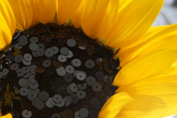 Detail of Sun flower and black sequins. Sequins arranged as the seeds of the sunflower. — Stock Photo, Image