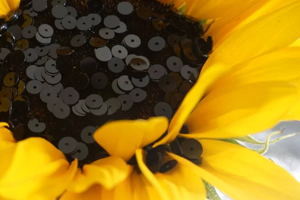 Détail de fleur de soleil et paillettes noires. Paillettes disposées comme les graines du tournesol . — Photo