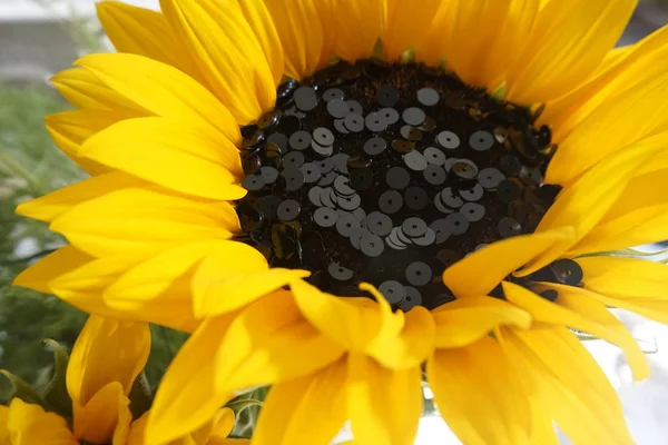 Detail of Sun flower and black sequins. Sequins arranged as the seeds of the sunflower.