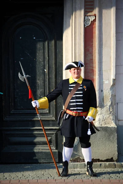 Timisoara, Rumania-04.08.2019 Cambio de guardia en Union Square: representación teatral de un acontecimiento histórico en la historia de la ciudad —  Fotos de Stock