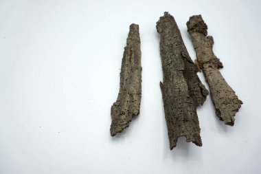 Kurumuş ağaç kabuğu parçaları. Boşluğu kopyala.