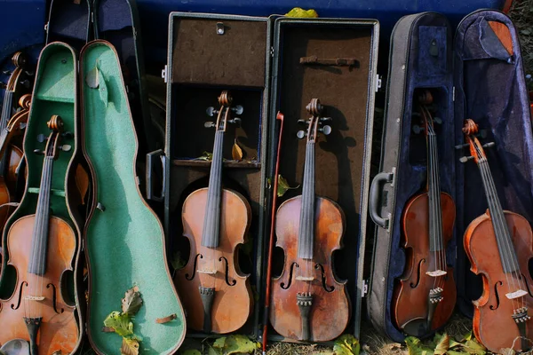 Casos Violino Abertos Para Exibir Violinos Vintage Venda Instrumento Musical — Fotografia de Stock