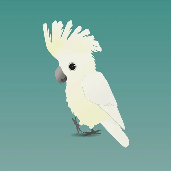 Μια Απεικόνιση Ενός Χαριτωμένου Cockatoo Ομπρέλα — Διανυσματικό Αρχείο