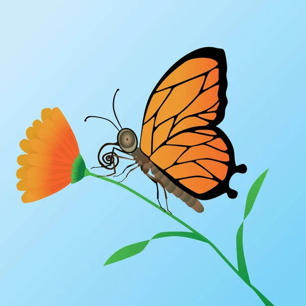 Papillon Orange Sur Une Fleur Orange — Image vectorielle