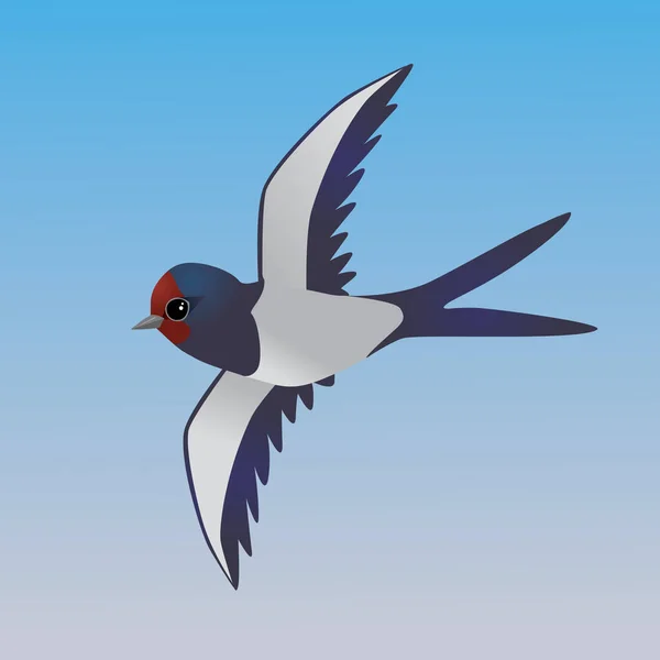 Μια Απεικόνιση Ενός Ιπτάμενου Χαριτωμένο Κατάποση Αχυρώνα — Διανυσματικό Αρχείο