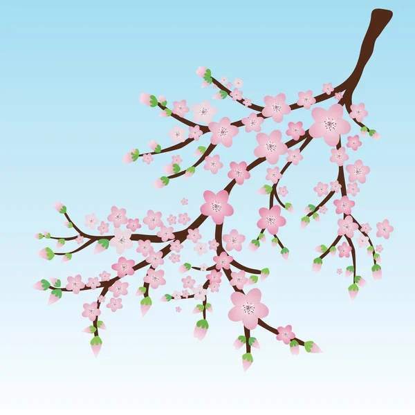 ピンクの花と花のバットを持つベクトルイラスト葉の枝 — ストックベクタ