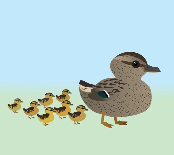 Vector Illustration Very Cute Mallard Her Chicks Female Duck Seven — Stock Vector