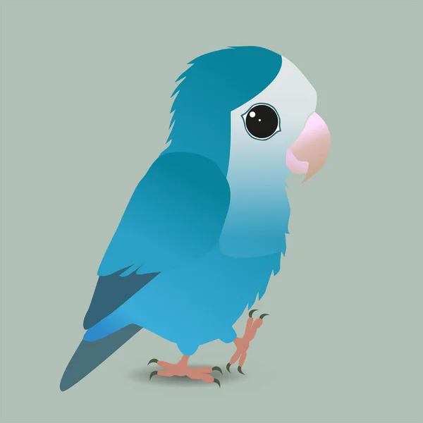 Uma Ilustração Vetorial Lindo Pêssego Azul Enfrentou Lovebird —  Vetores de Stock