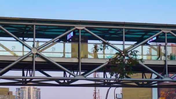 Gente Timelapse Está Cruzando Puente Elevado Tel Aviv — Vídeo de stock