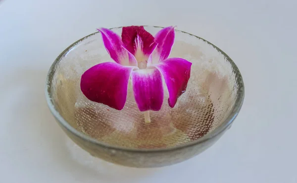 Beautiful Purple Flower Bowl Water Decoration — Stock Photo, Image