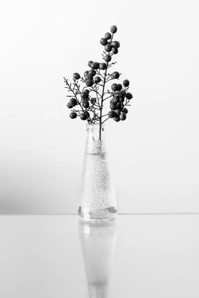 Black White Photo Plant Berries Vase Mirror Table — Stock Photo, Image