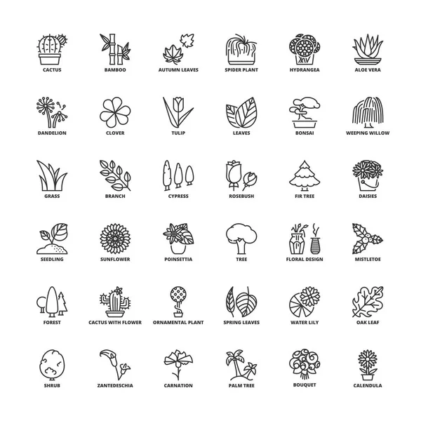 Outline icons. Flowers, plants and trees — Stock Vector