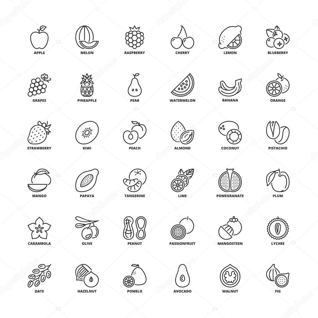 Outline icons. Fruit